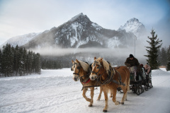 Horse-drawn sleigh, Schiederweiher, Austria