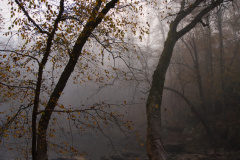 DSC_2382